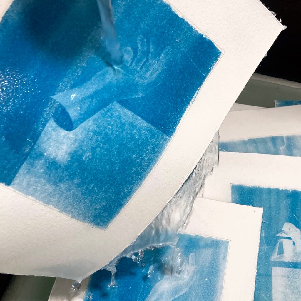 Cyanotype prints in water bath