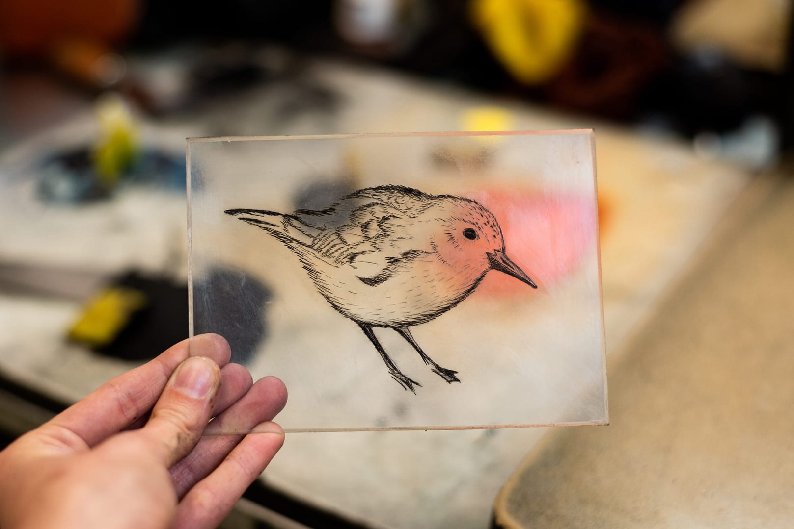 Hand hält eine Acrylplatte mit radierten Vogel